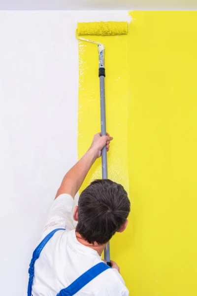 Prime Valley Painting